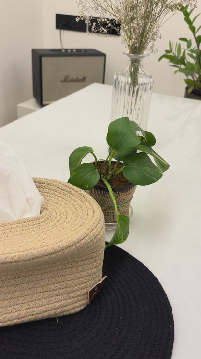 Natural Weave Oval Tissue Box Holder